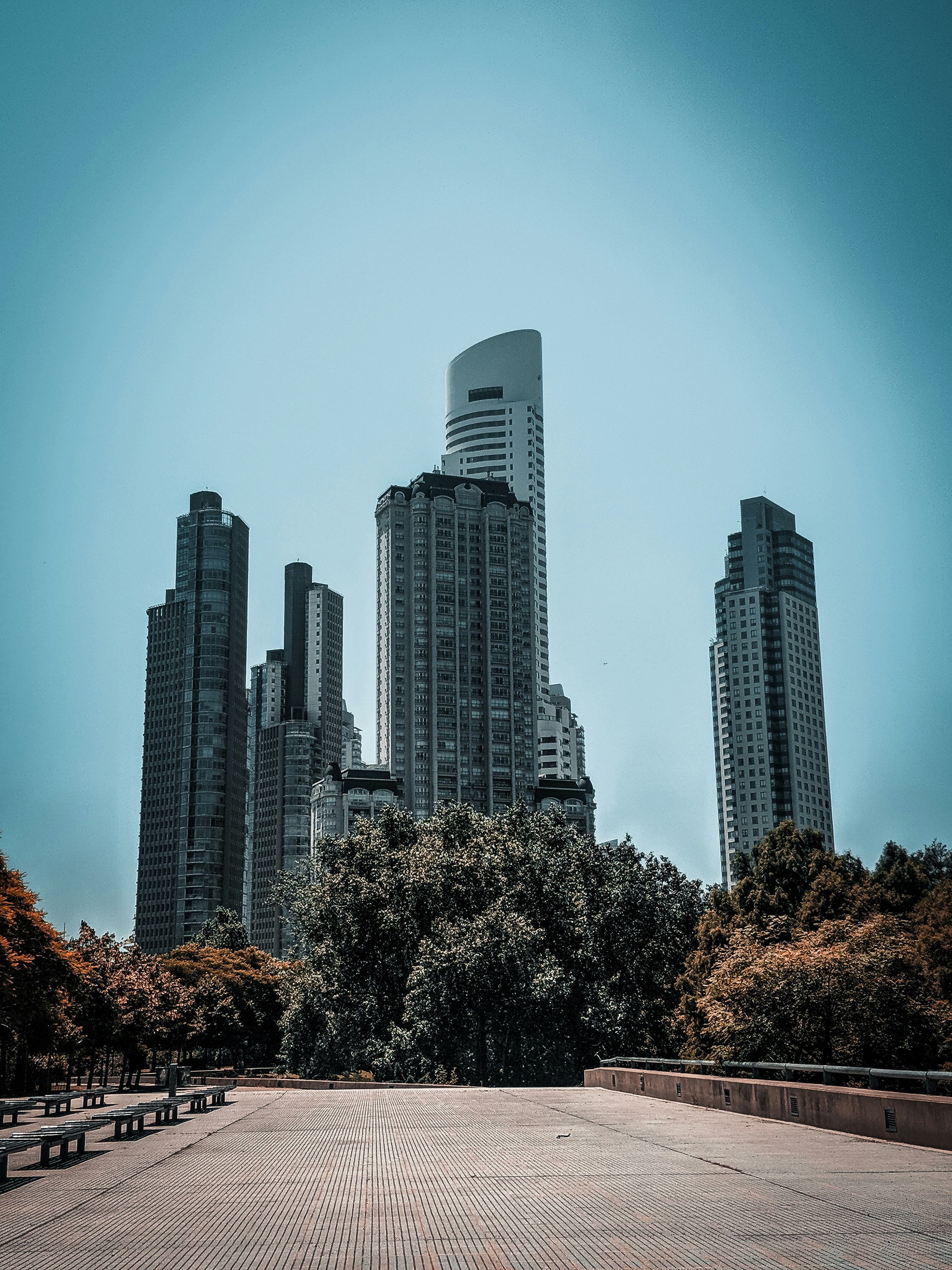Modern residential towers in Puerto Madero